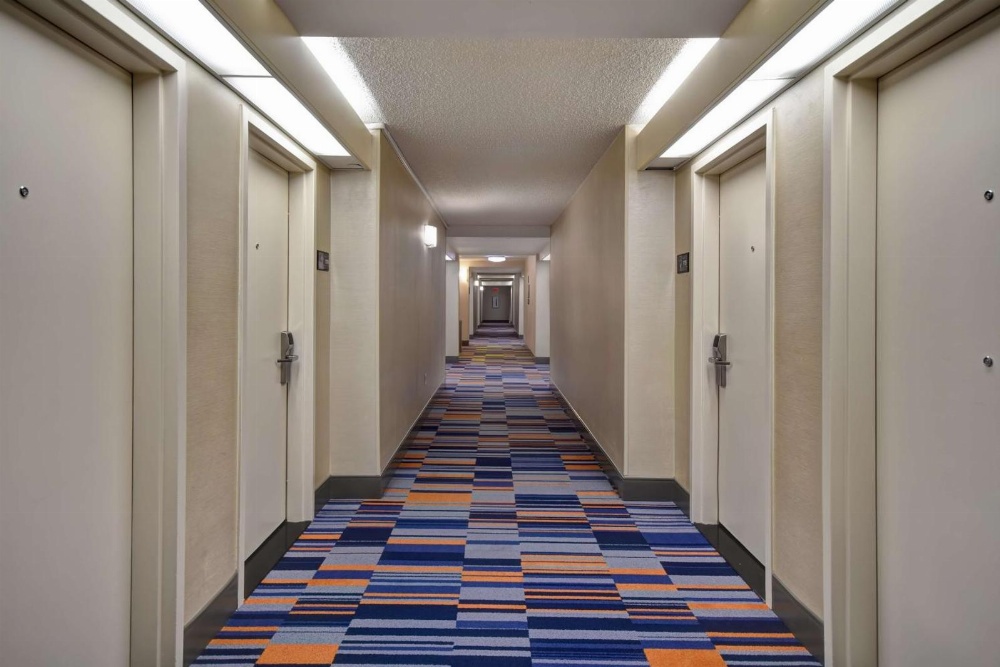 Hampton Inn By Hilton NY-JFK Main image
